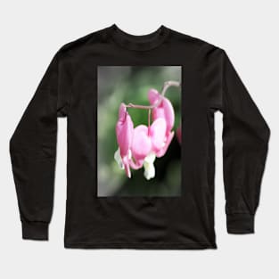 red bleeding hearts, soft background 2 Long Sleeve T-Shirt